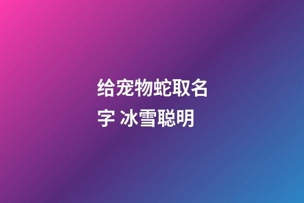 给宠物蛇取名字 冰雪聪明